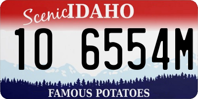 ID license plate 1O6554M