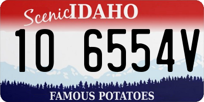 ID license plate 1O6554V