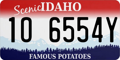 ID license plate 1O6554Y