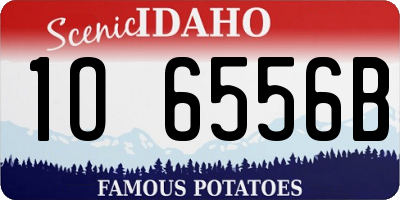 ID license plate 1O6556B