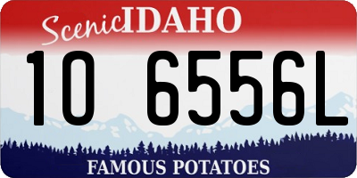 ID license plate 1O6556L