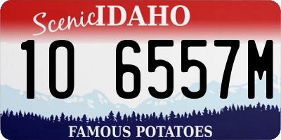 ID license plate 1O6557M