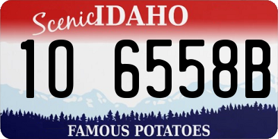ID license plate 1O6558B