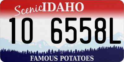 ID license plate 1O6558L