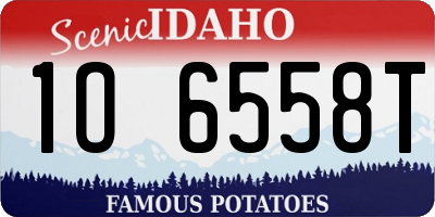 ID license plate 1O6558T