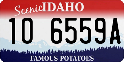 ID license plate 1O6559A