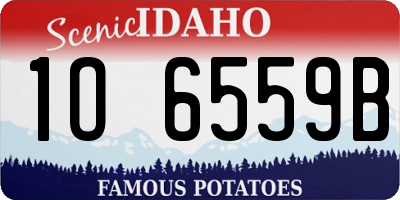 ID license plate 1O6559B