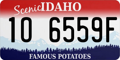 ID license plate 1O6559F