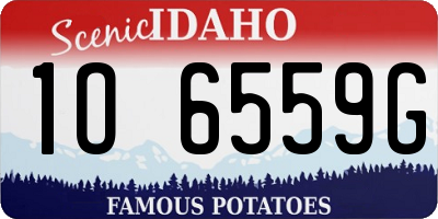 ID license plate 1O6559G