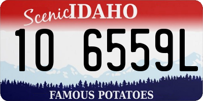 ID license plate 1O6559L