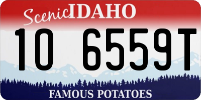 ID license plate 1O6559T