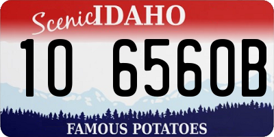 ID license plate 1O6560B
