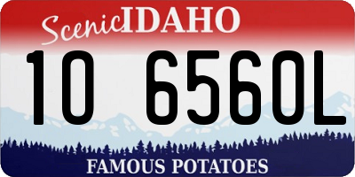 ID license plate 1O6560L