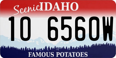 ID license plate 1O6560W