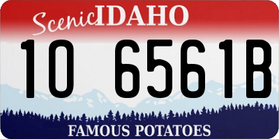 ID license plate 1O6561B