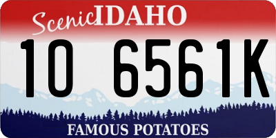 ID license plate 1O6561K