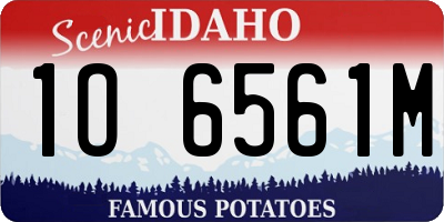 ID license plate 1O6561M