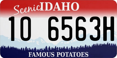 ID license plate 1O6563H
