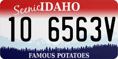 ID license plate 1O6563V