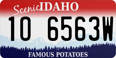 ID license plate 1O6563W