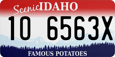 ID license plate 1O6563X