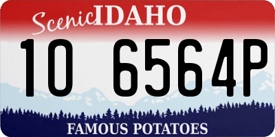 ID license plate 1O6564P
