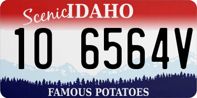 ID license plate 1O6564V