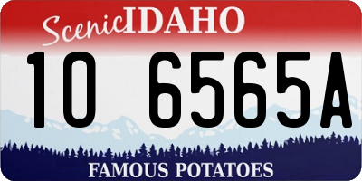 ID license plate 1O6565A