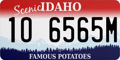 ID license plate 1O6565M