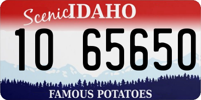 ID license plate 1O6565O
