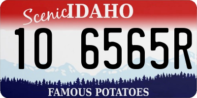 ID license plate 1O6565R