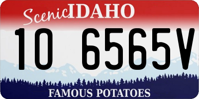 ID license plate 1O6565V