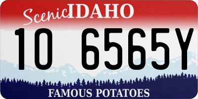ID license plate 1O6565Y