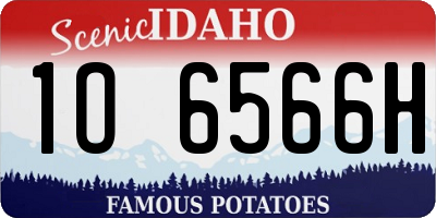 ID license plate 1O6566H