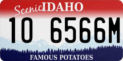 ID license plate 1O6566M