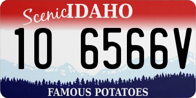 ID license plate 1O6566V