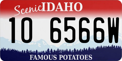 ID license plate 1O6566W