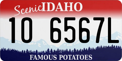 ID license plate 1O6567L