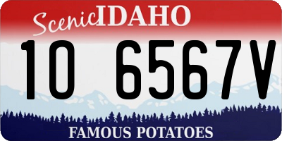 ID license plate 1O6567V