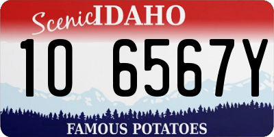 ID license plate 1O6567Y