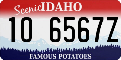 ID license plate 1O6567Z