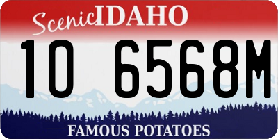 ID license plate 1O6568M