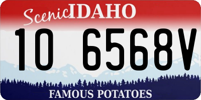 ID license plate 1O6568V