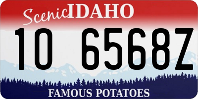 ID license plate 1O6568Z
