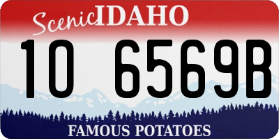 ID license plate 1O6569B