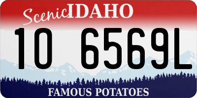 ID license plate 1O6569L