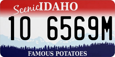 ID license plate 1O6569M