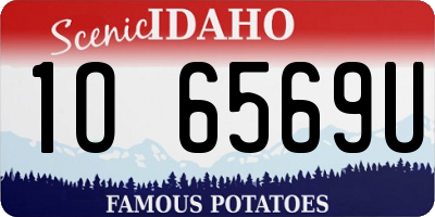 ID license plate 1O6569U