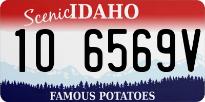 ID license plate 1O6569V