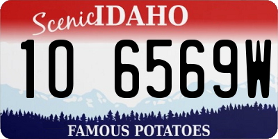 ID license plate 1O6569W